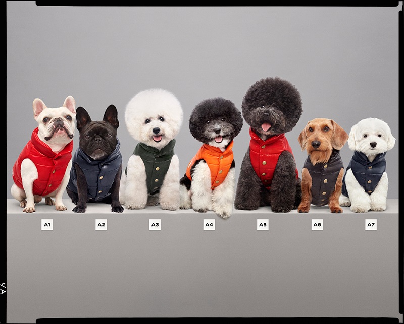 MONCLER & POLDO DOG COUTURE FW17 (5)