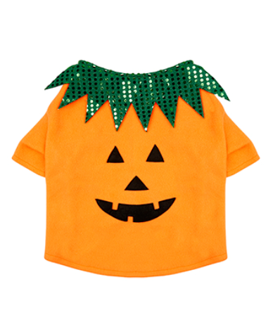 Costume da zucca per cane by Accessorize