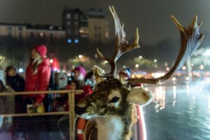 IMG_8604-624x416